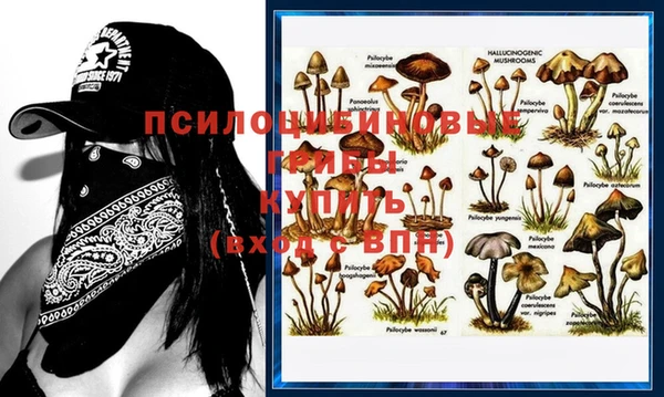 молекула духа Горнозаводск