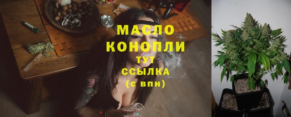 молекула духа Горнозаводск