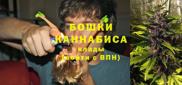 индика Лагань
